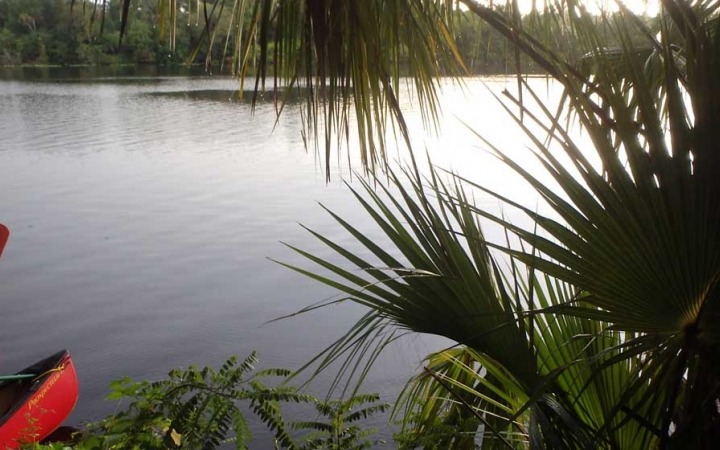 On the right side of the photo, tropical leaves frame a calm body of water. On the left side, the tips of two red canoes can be seen floating on the water. 